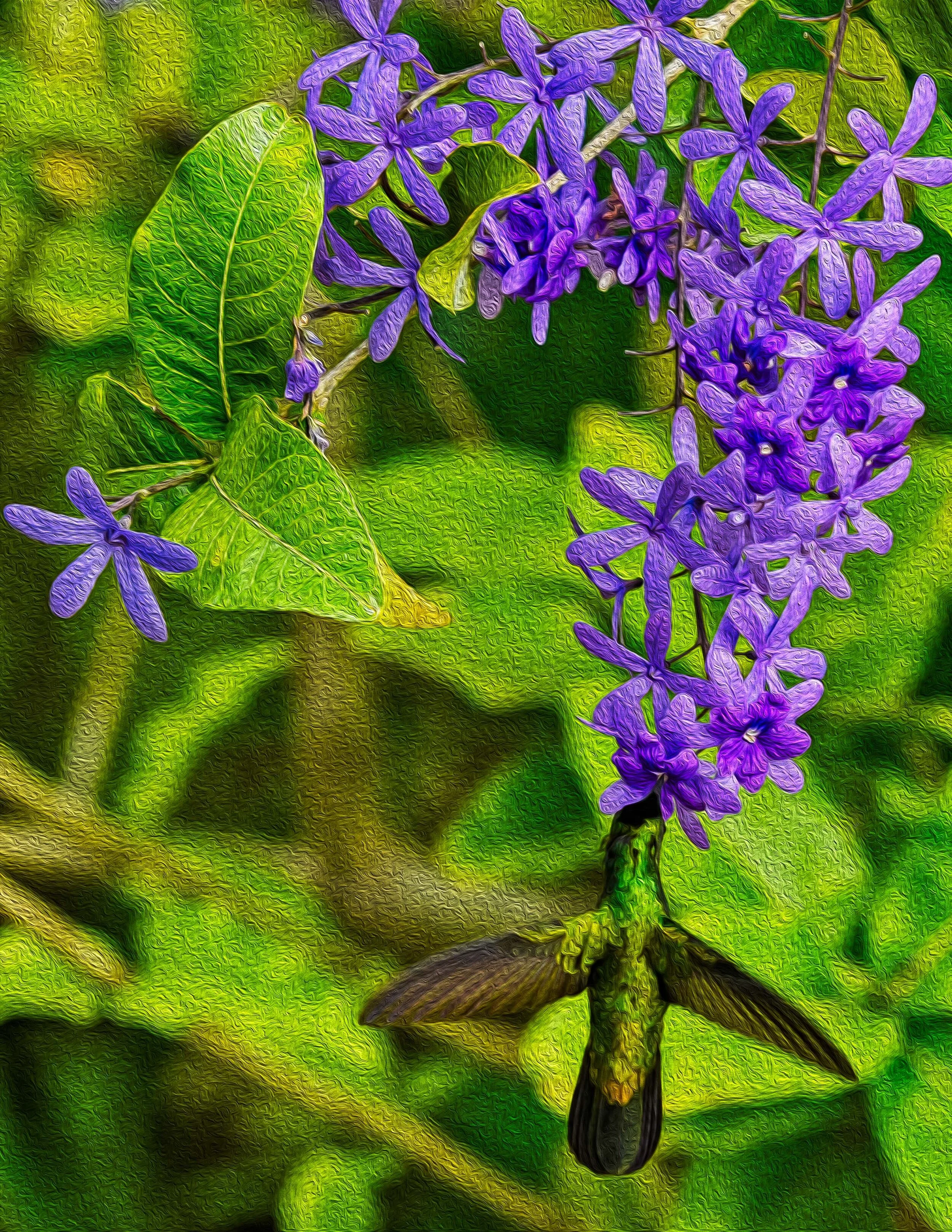 DSC_5016-Edit.jpg