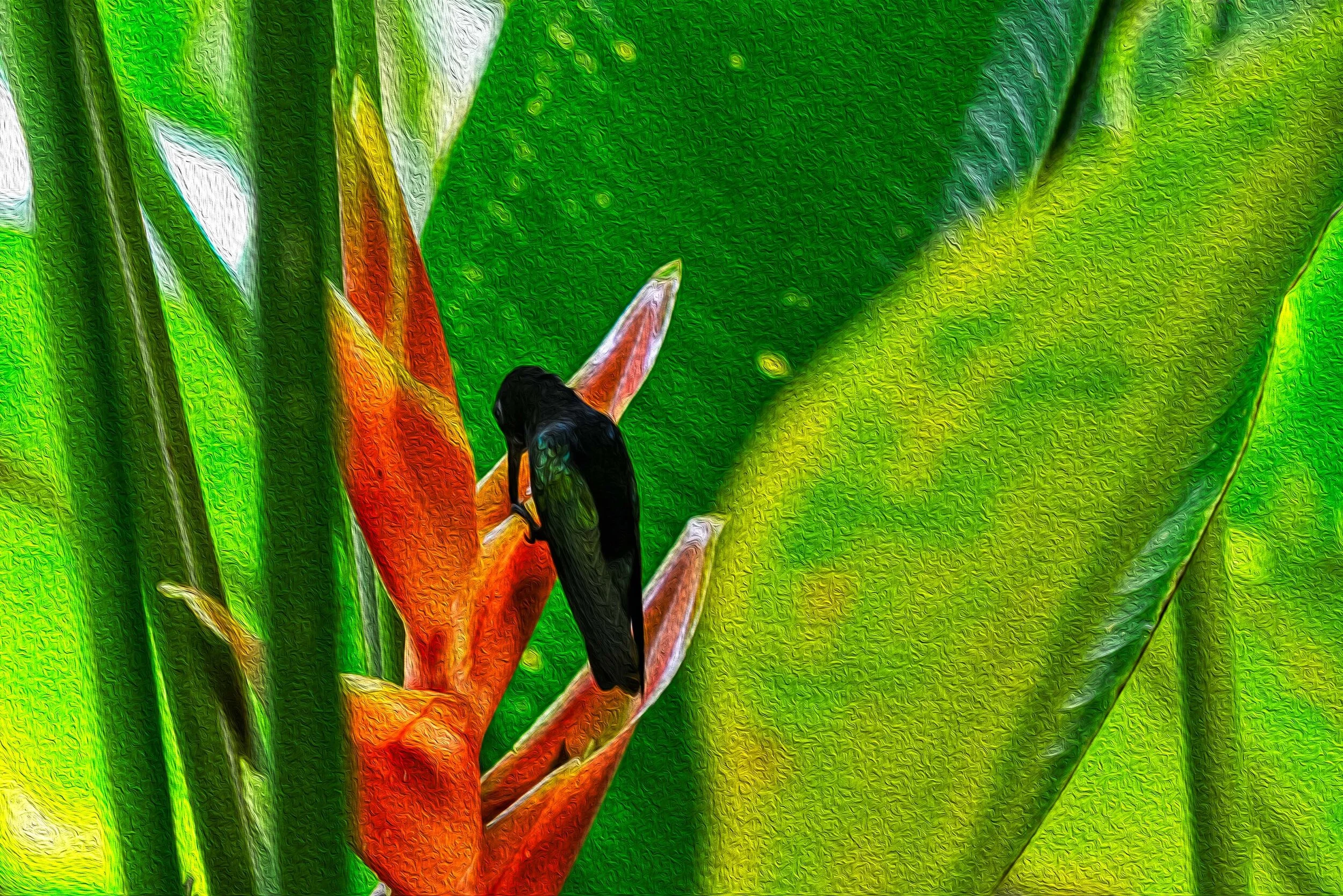 DSC_5003-Edit.jpg