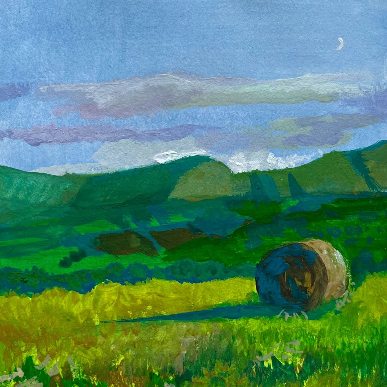 Thoughts about new additions to my fables from the land mini paintings. This is Bedgwyns near hay on wye. A lovely walk and especially with the right weather on the side. The light was beautiful and with the moon 🌙 #paintingart #herefordshireartist 