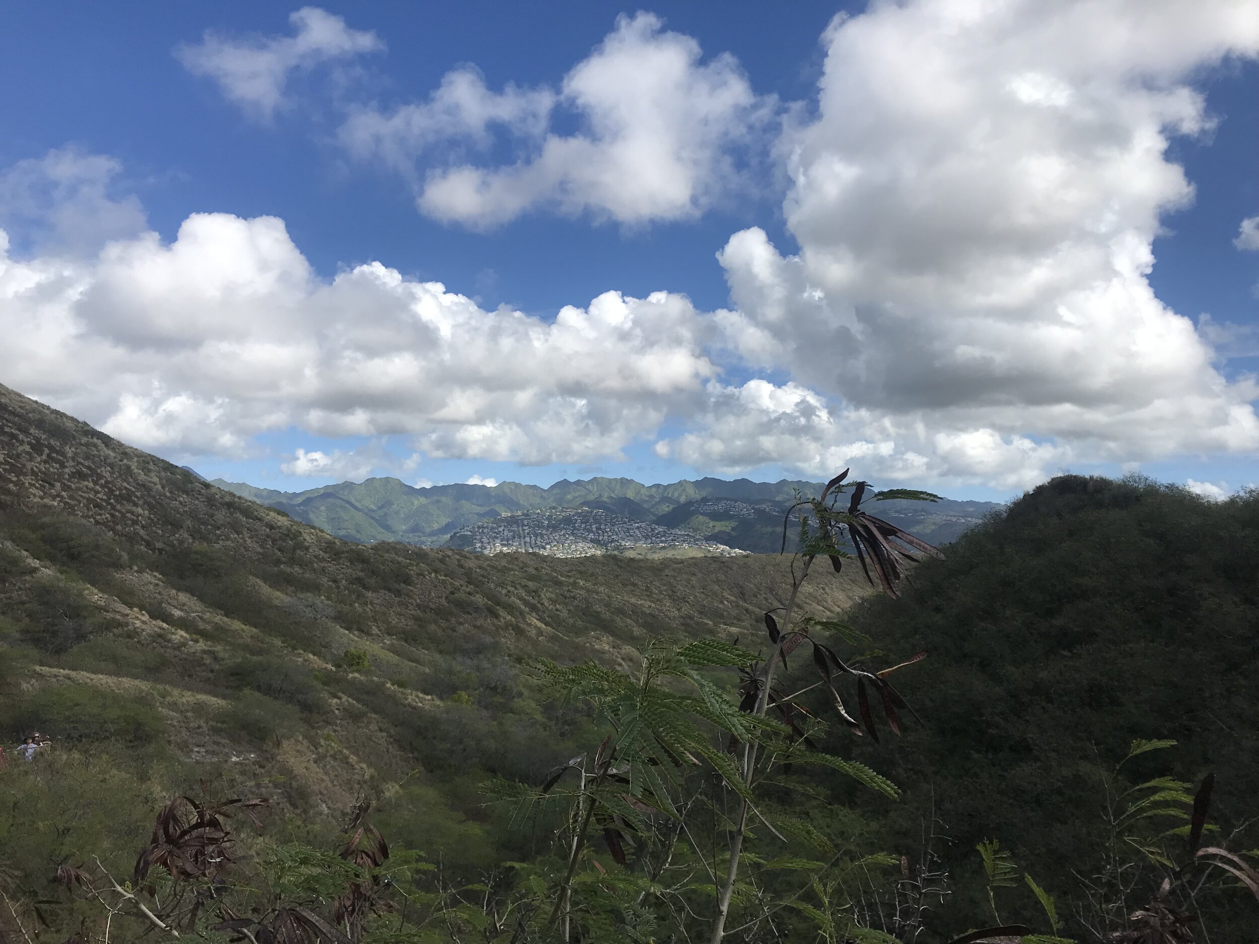 anna-cardamon-oahu-hiking