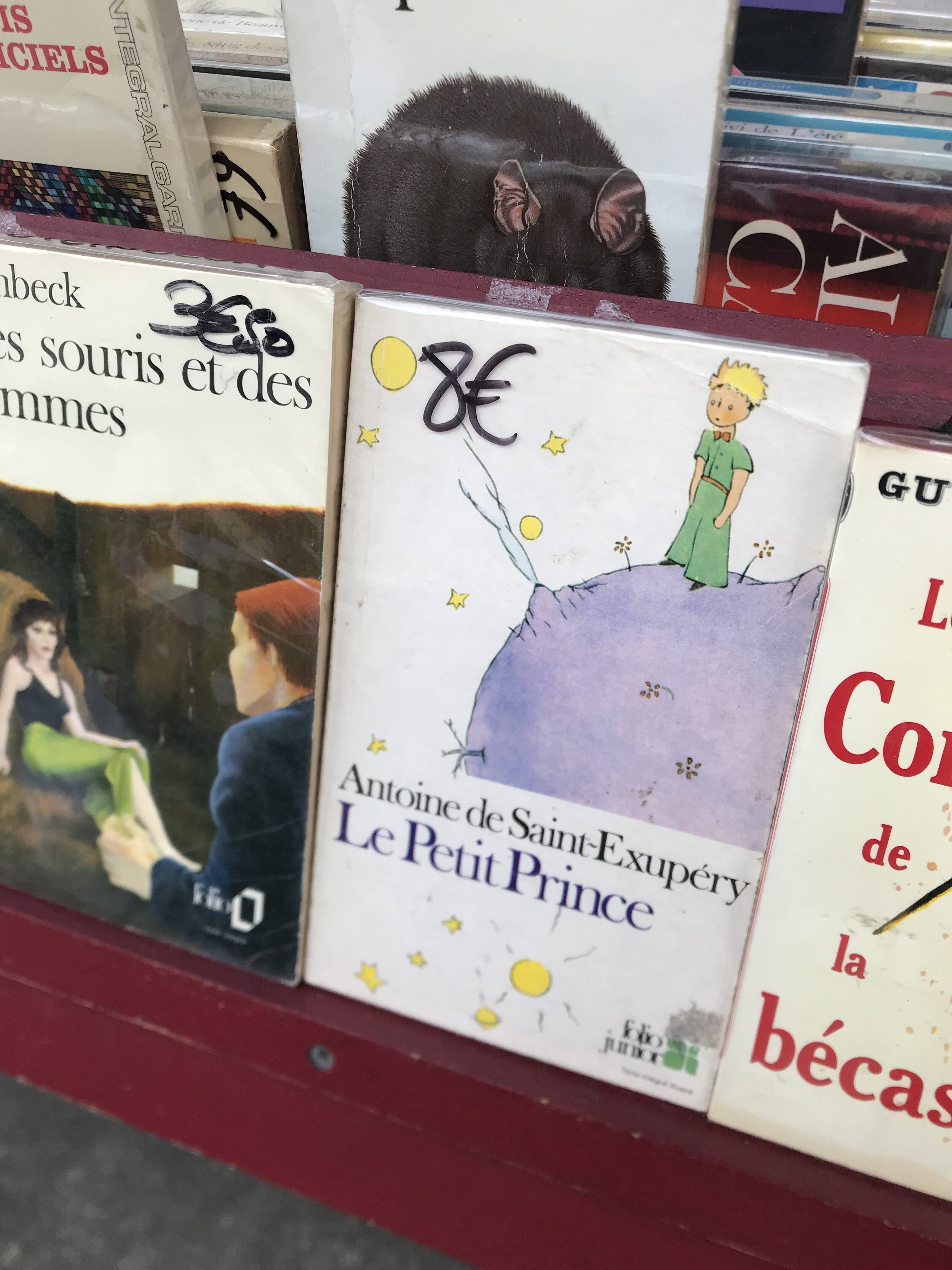 anna-cardamon-petit-prince-book