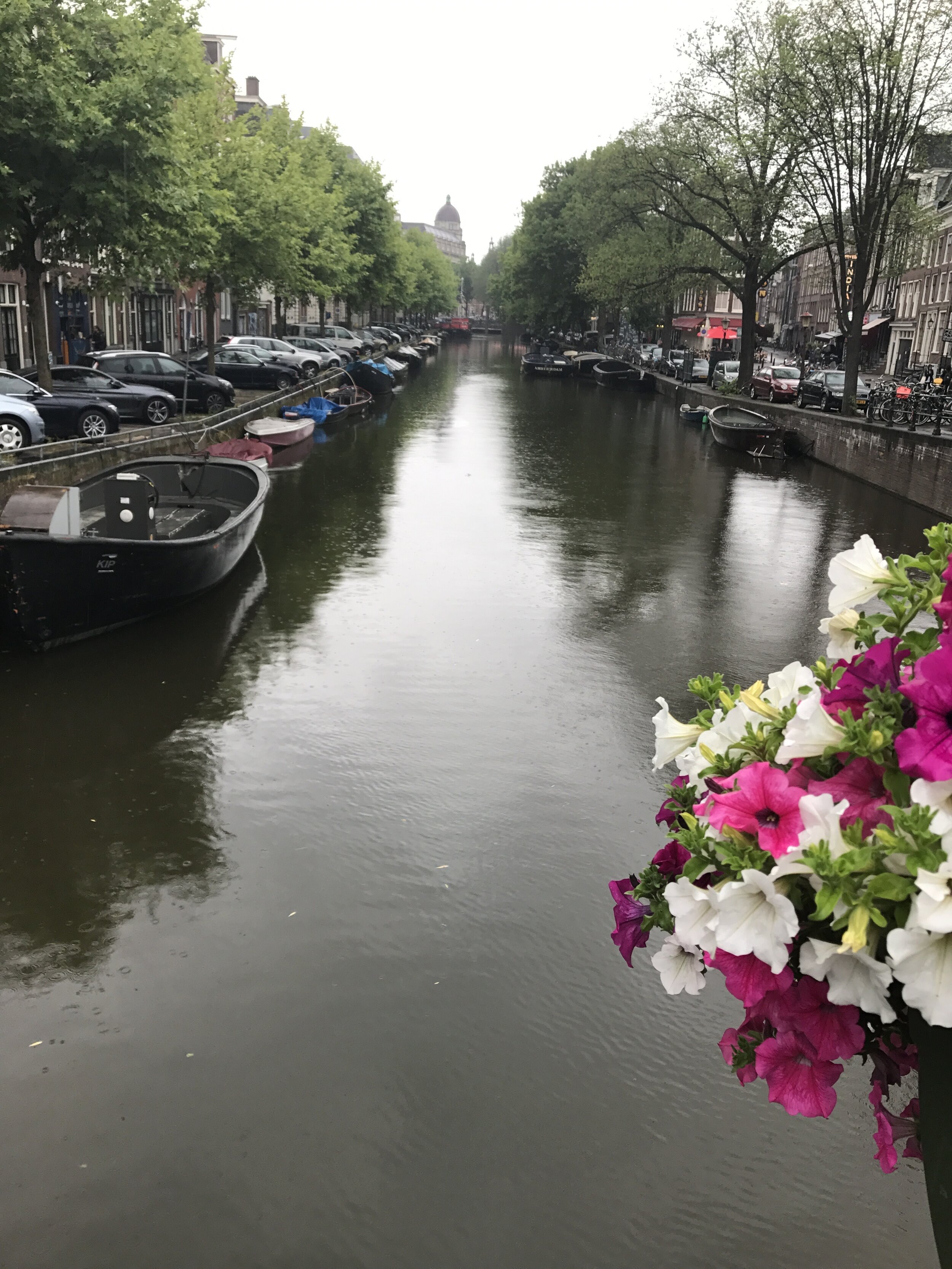anna-cardamon-amsterdam-canals-sight-seeing