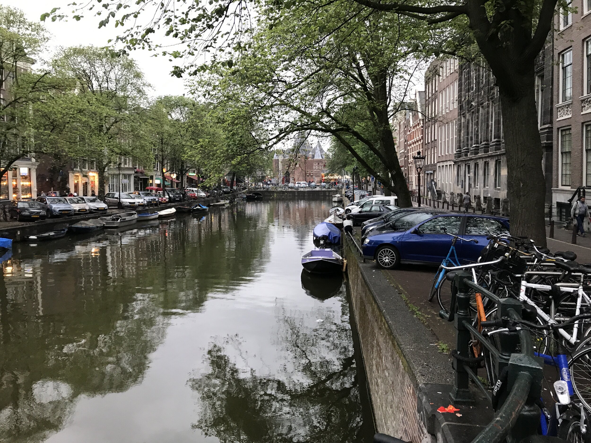 anna-cardamon-netherlands-canals-dutch