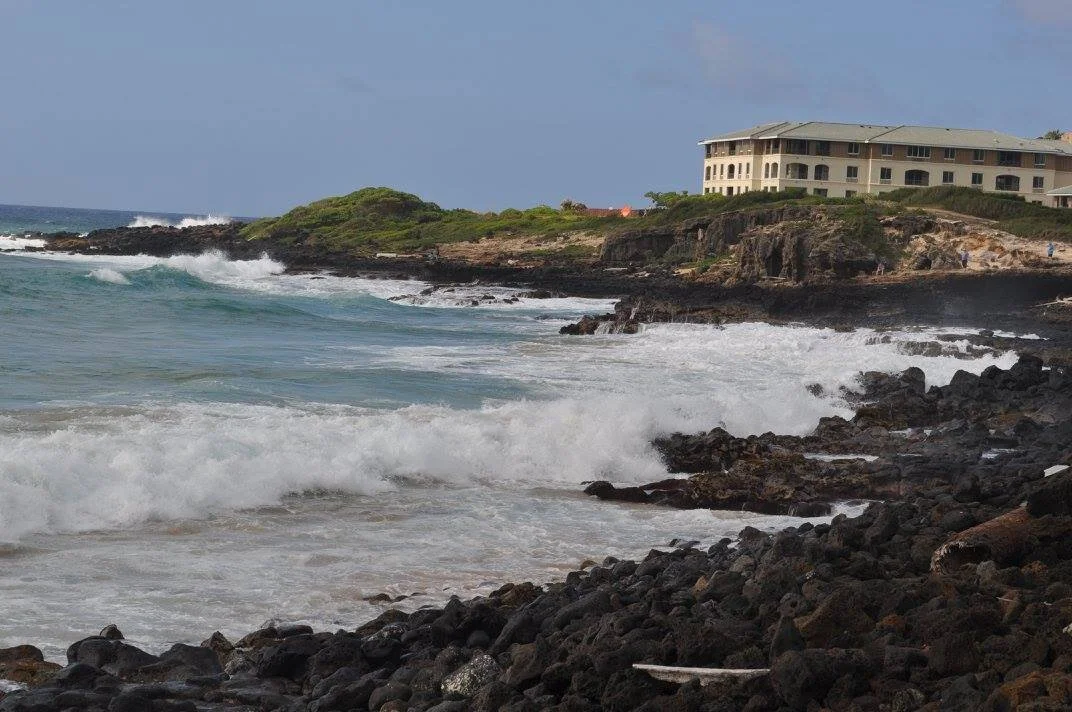 anna-cardamon-kauai-beach-views