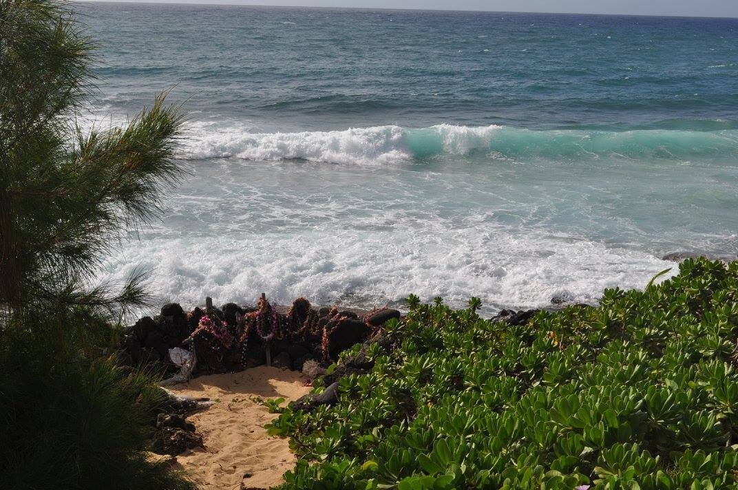 anna-cardamon-kauai-beach-views