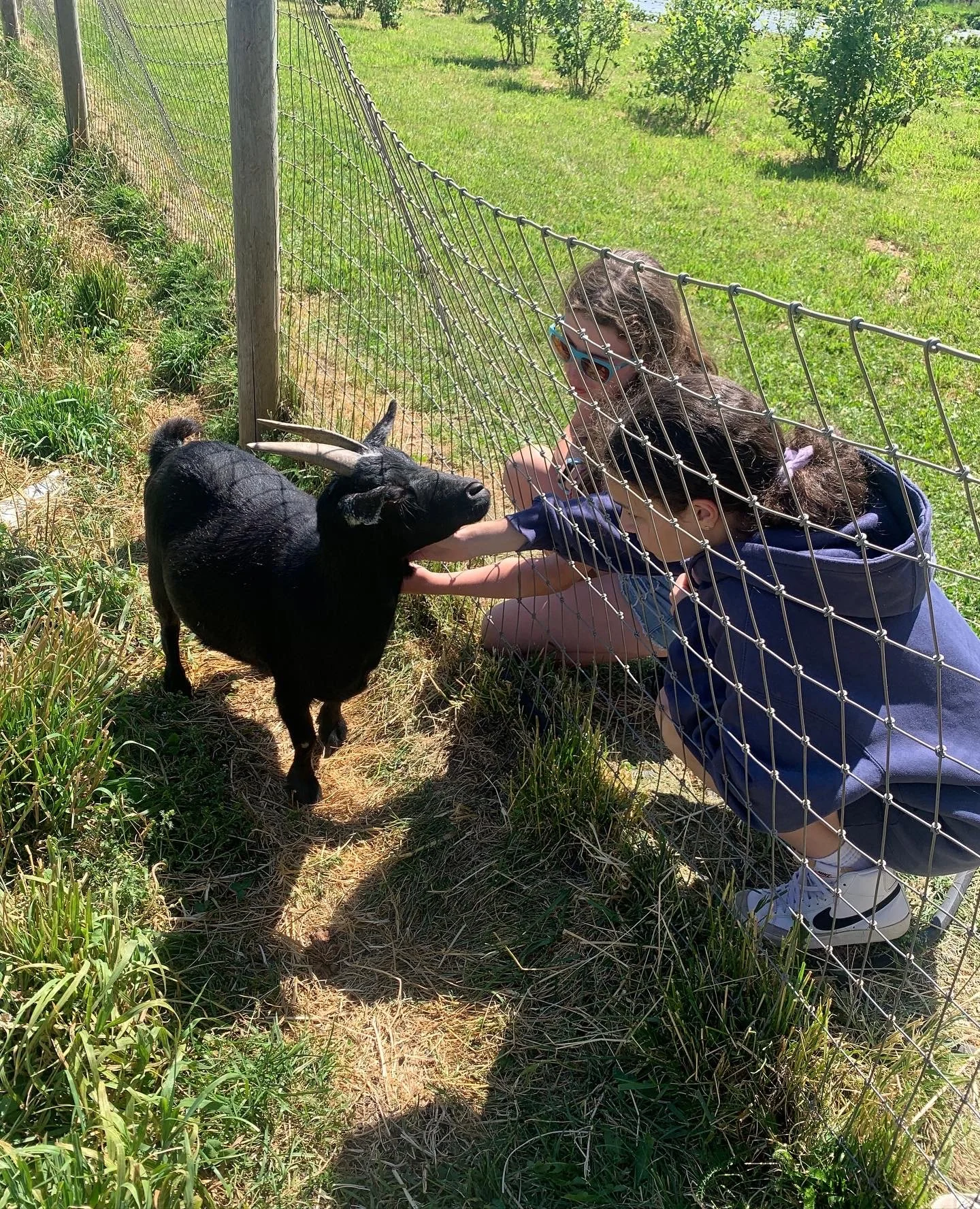 2022 Mount Hood Camp Session-1 Rest Day 