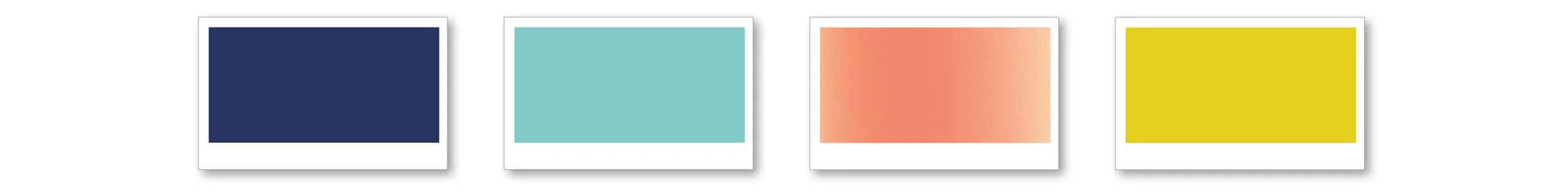 brand-colors_party case.jpg