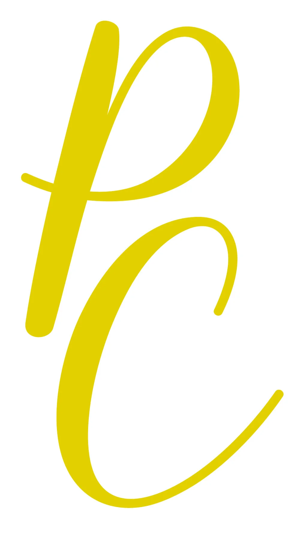 The Party Case Logo -_Icon Lime.jpg