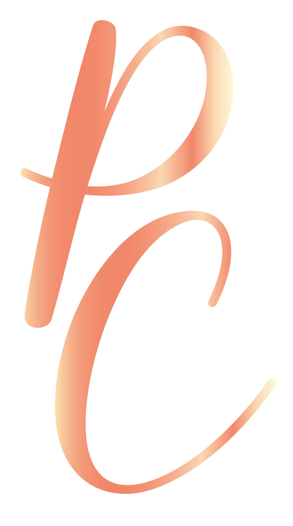 The Party Case Logo -_Icon Rose Gold.jpg