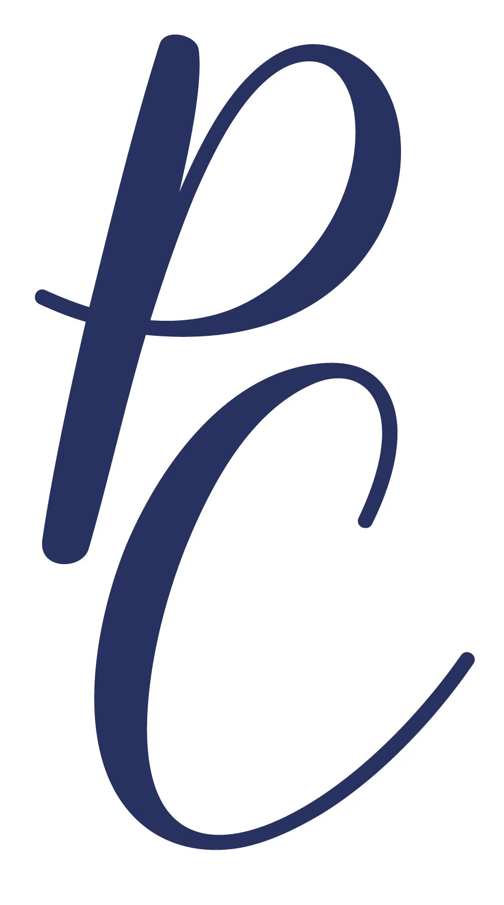 The Party Case Logo -_Icon Navy.jpg