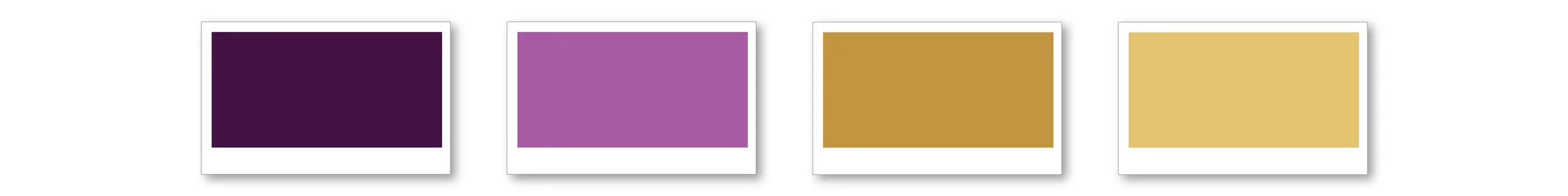 color palettes_The Woman Boss.jpg