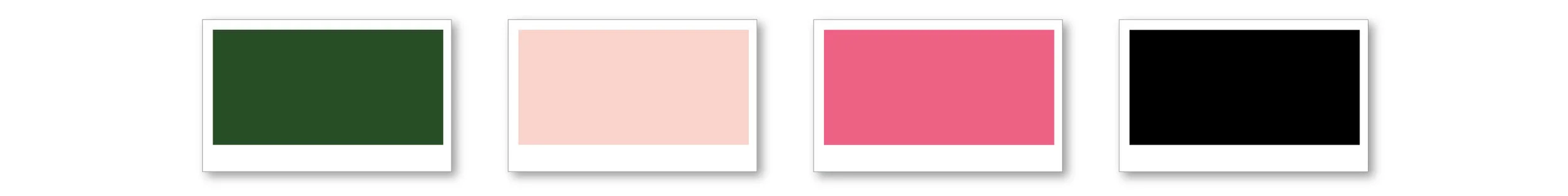 color palettes_Chi Rho Omega.jpg