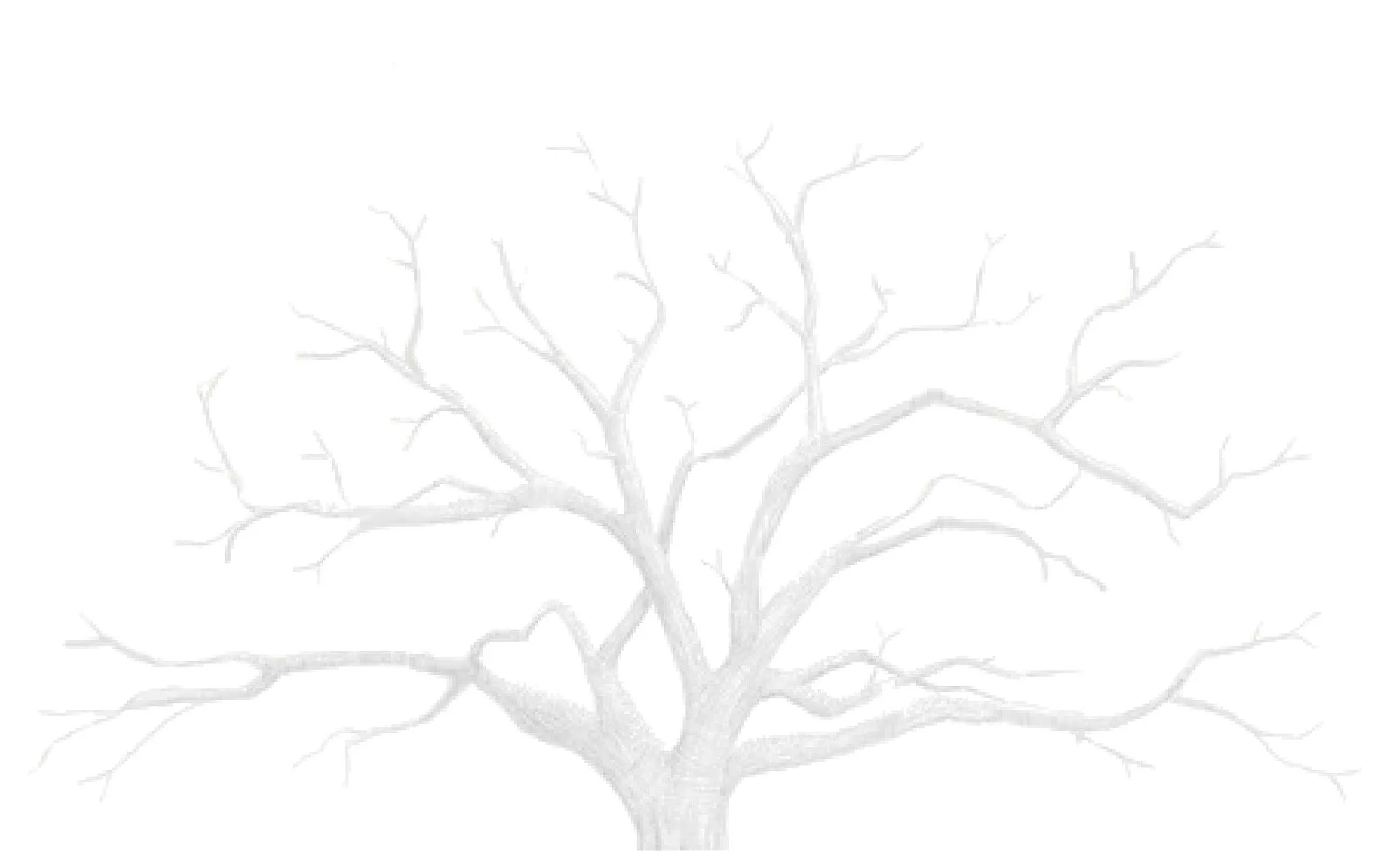 tree branches copy.jpg
