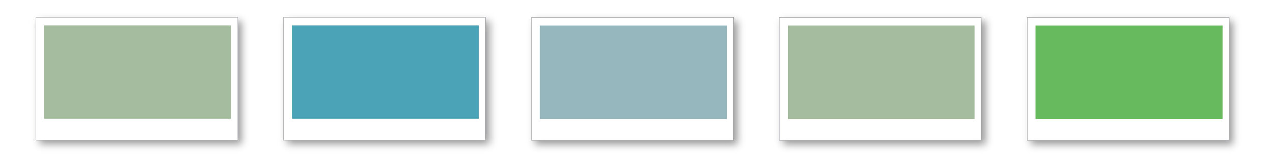 color palettes_Vident.jpg