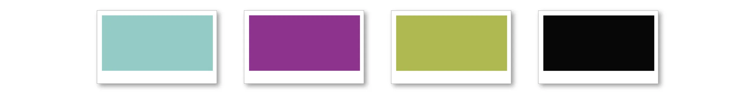 color palettes_WFS.jpg