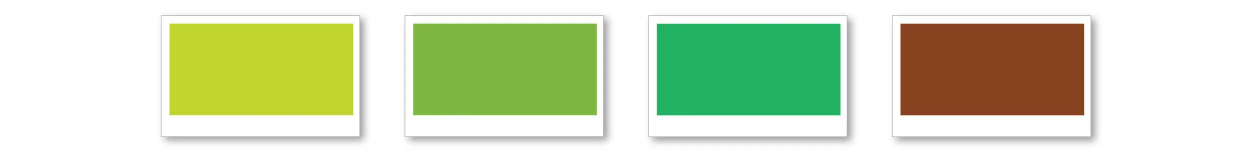 color palettes_kates korner.jpg