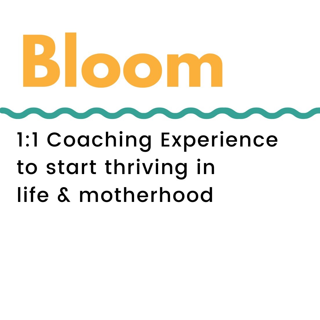 Bloom - 1:1 Coaching Experience