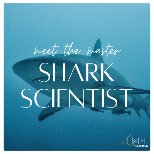 Meet the Master - Shark Scientist
