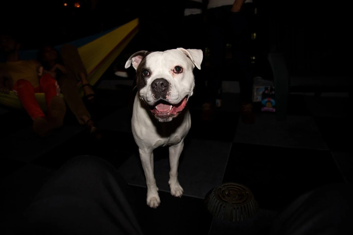 Asher Lennon Photography.jpg