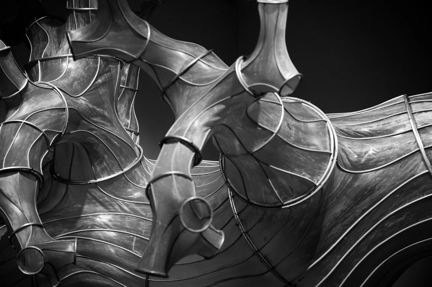 Oki Naganode @departmentofseaweed⁠
⁠
#art #photography #femaleartist #photooftheday #bw #bnw_society #instabw #bnw #bnwlife #bnwlife_invite #bw_photooftheday  #departmentofseaweed #seaweed ##sculpture #MoMA #NYC #newyorkcity #bigapple #empirestate #n