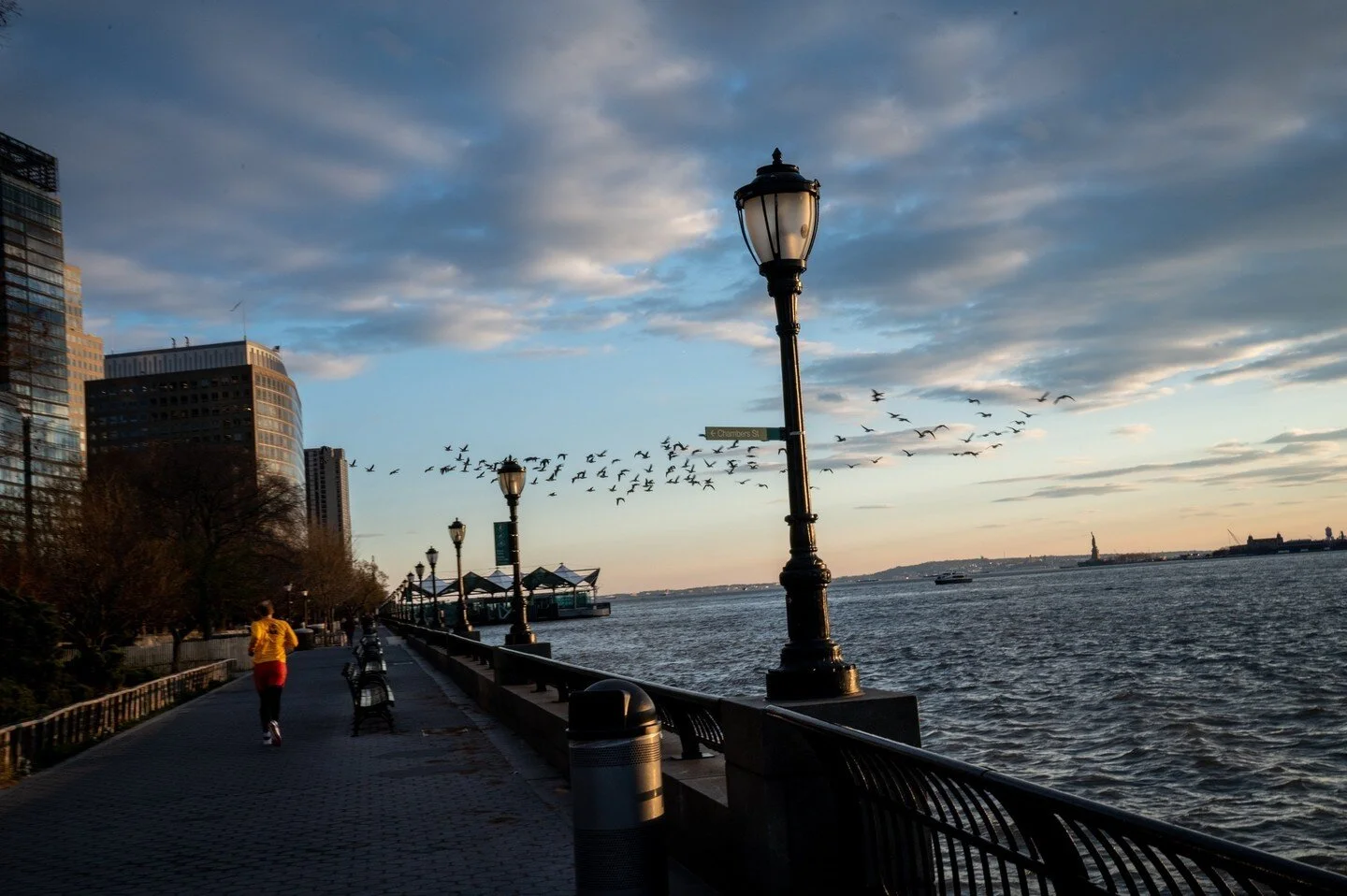 So many birds.⁠
⁠
#NYC #newyorkcity #iloveny #bigapple #empirestate #made_in_ny #instagramNYC #nycprimeshot #ImagesofNYC #sunset_lovers #sunset_hub #beautifulsunset #sunsetgram #sunsetoftheday #sunsetlovers #sunsetphotography #sunsetlover #goldenhour
