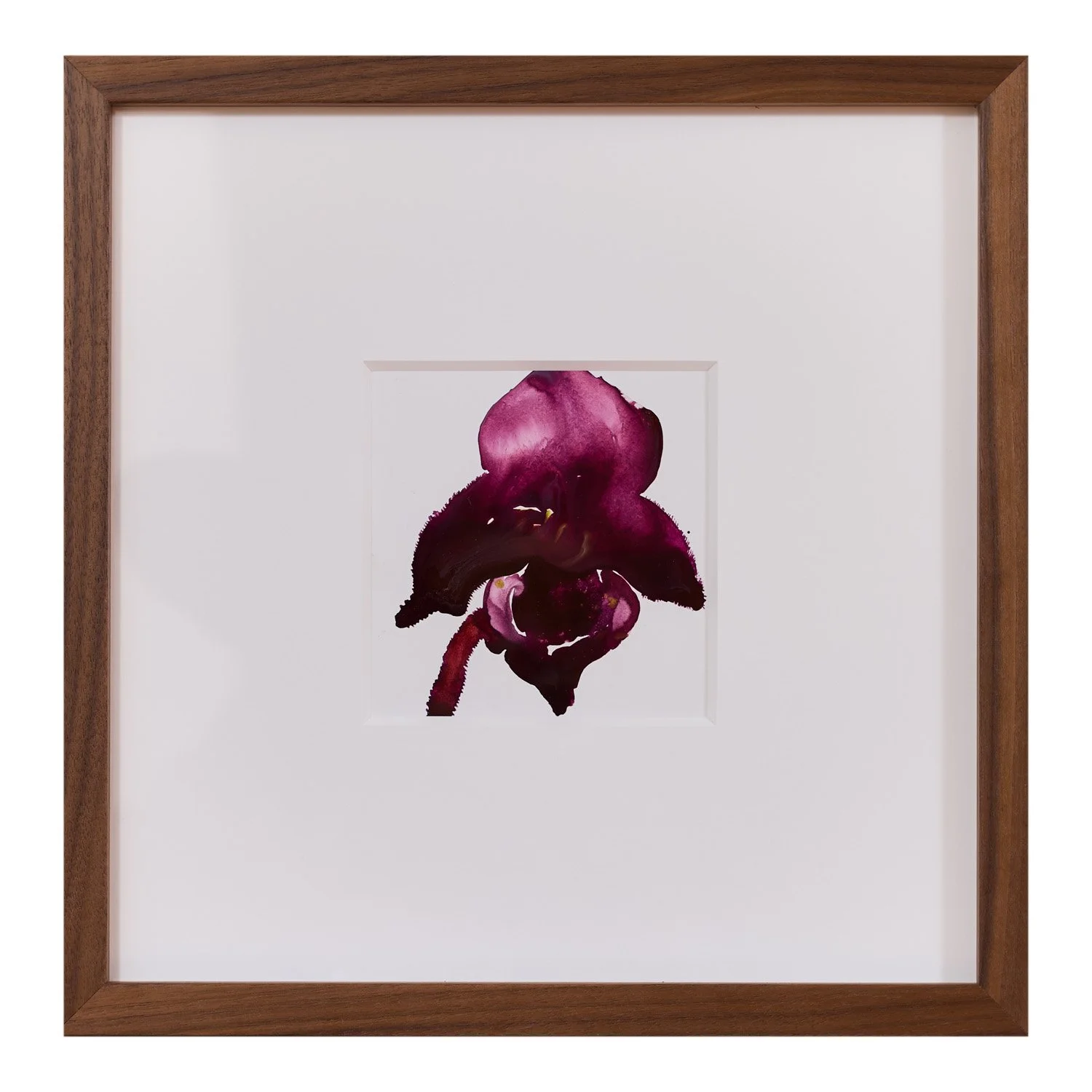 orchid - single.jpg