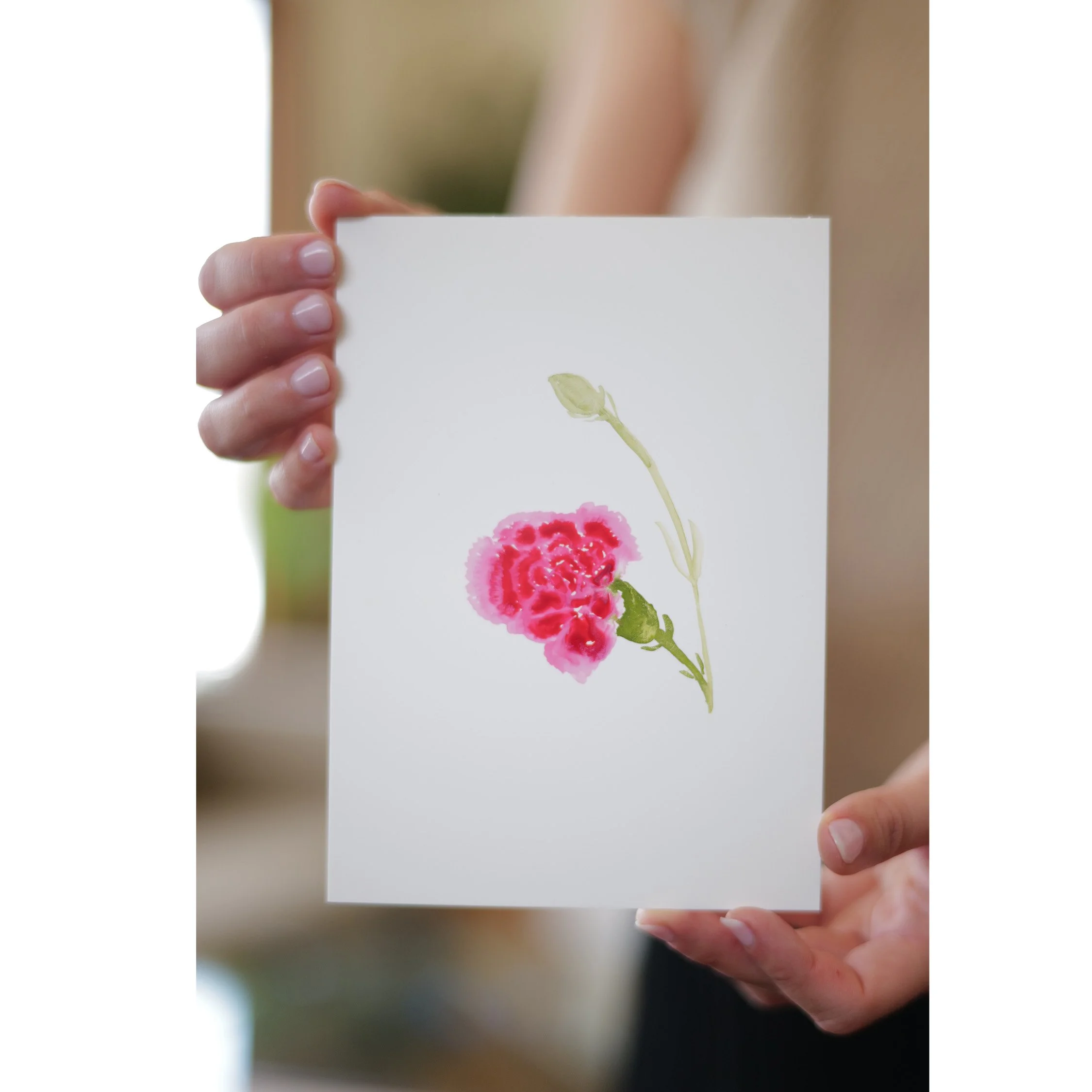 Single Carnation