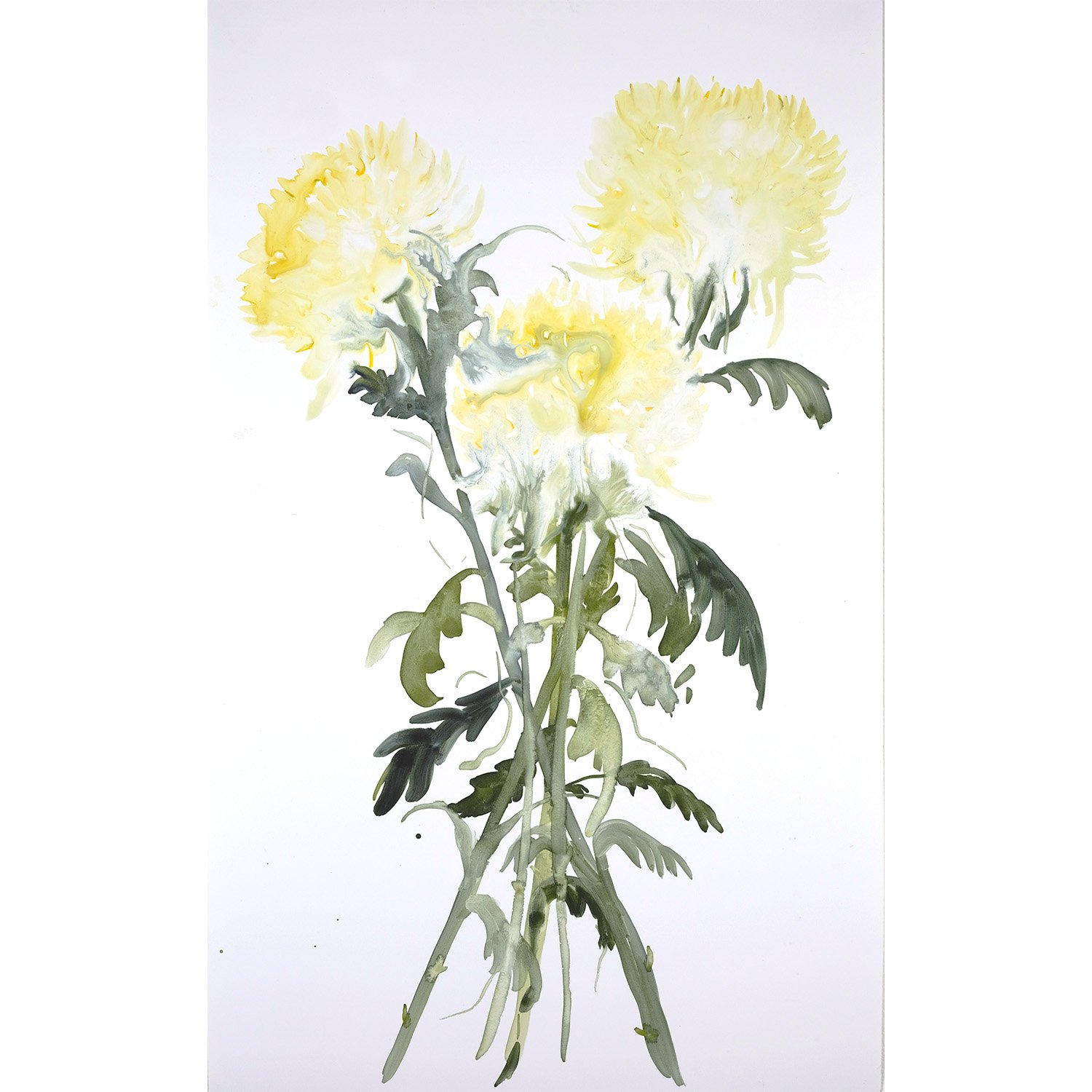 CHRYSANTHEMUM - TRIO.jpg