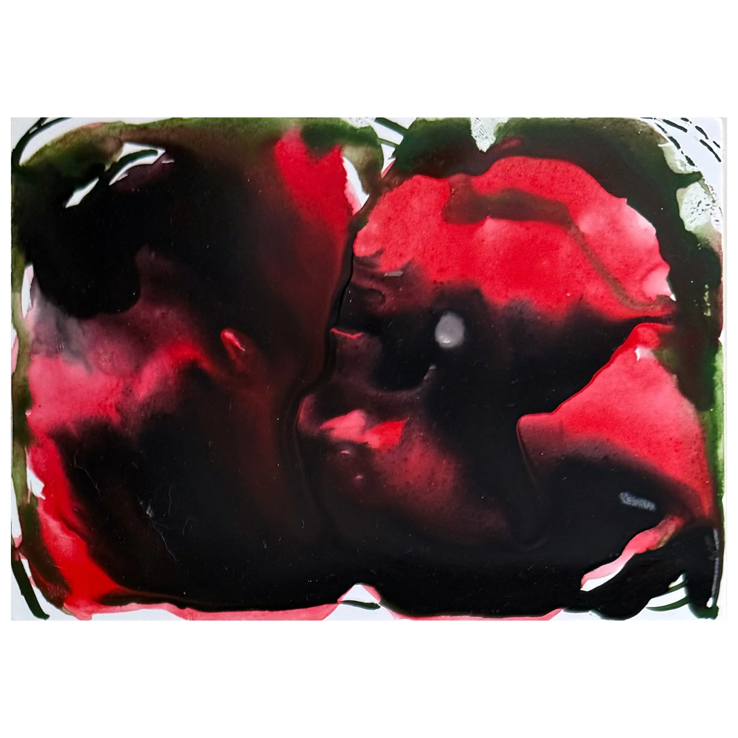 Abstracted Poppy