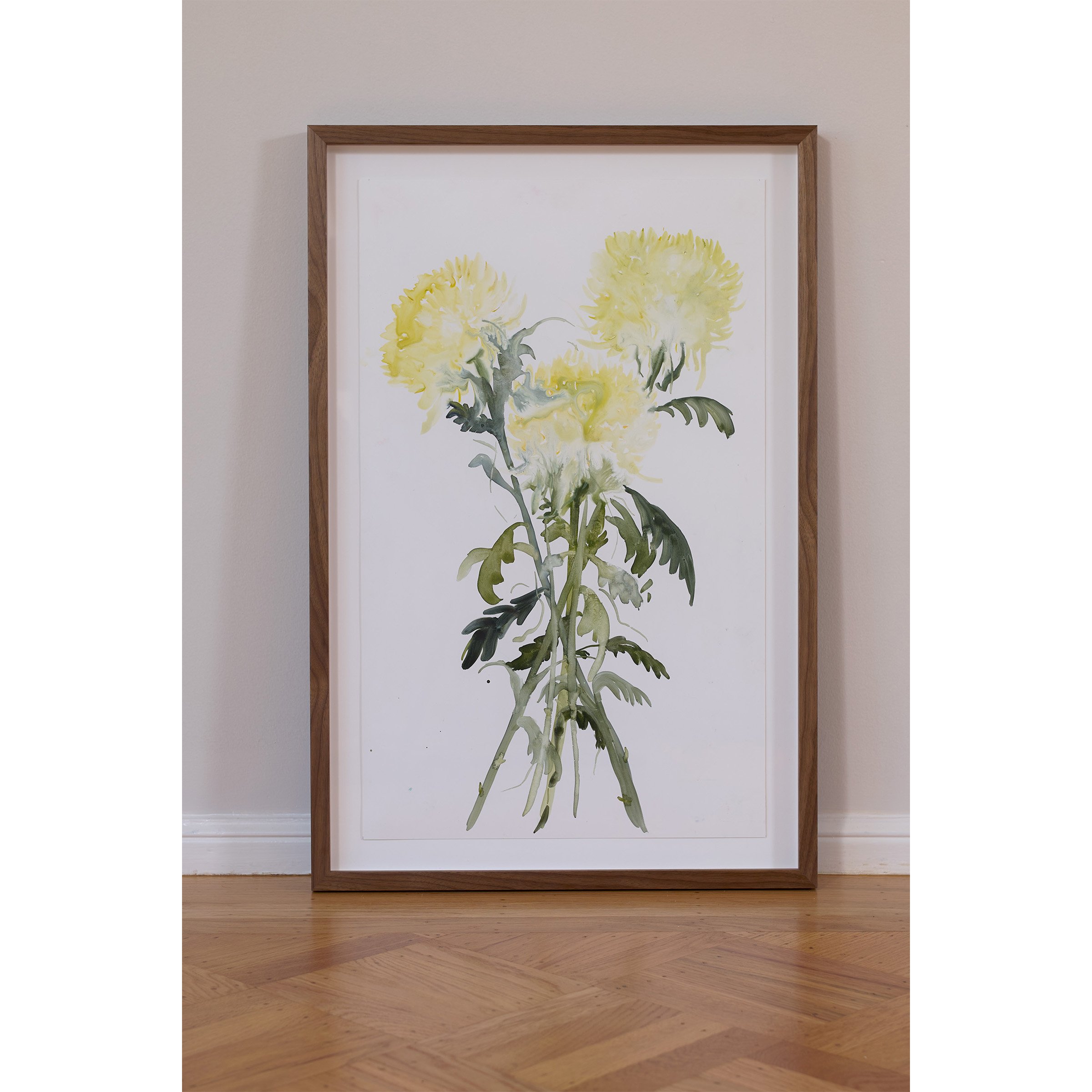 chrysanethemum framed.jpg