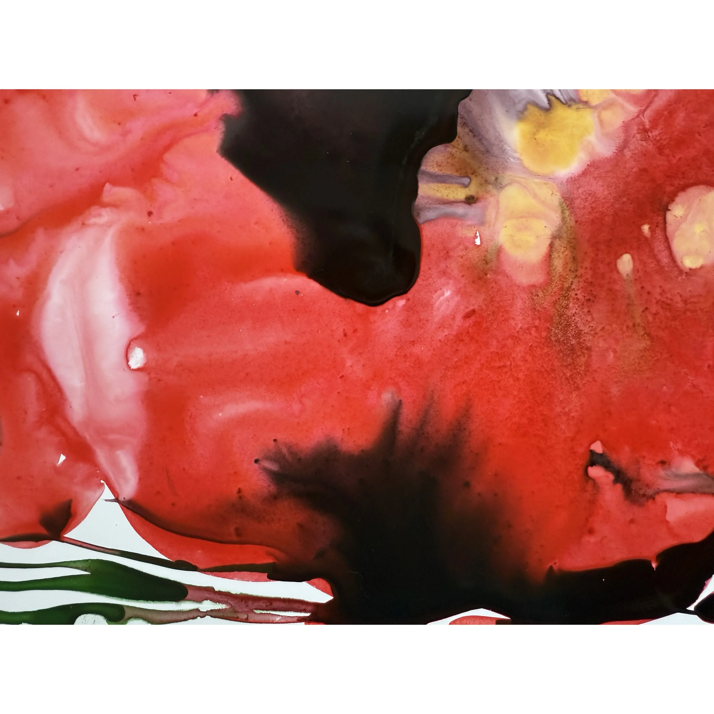 poppy detail.jpg
