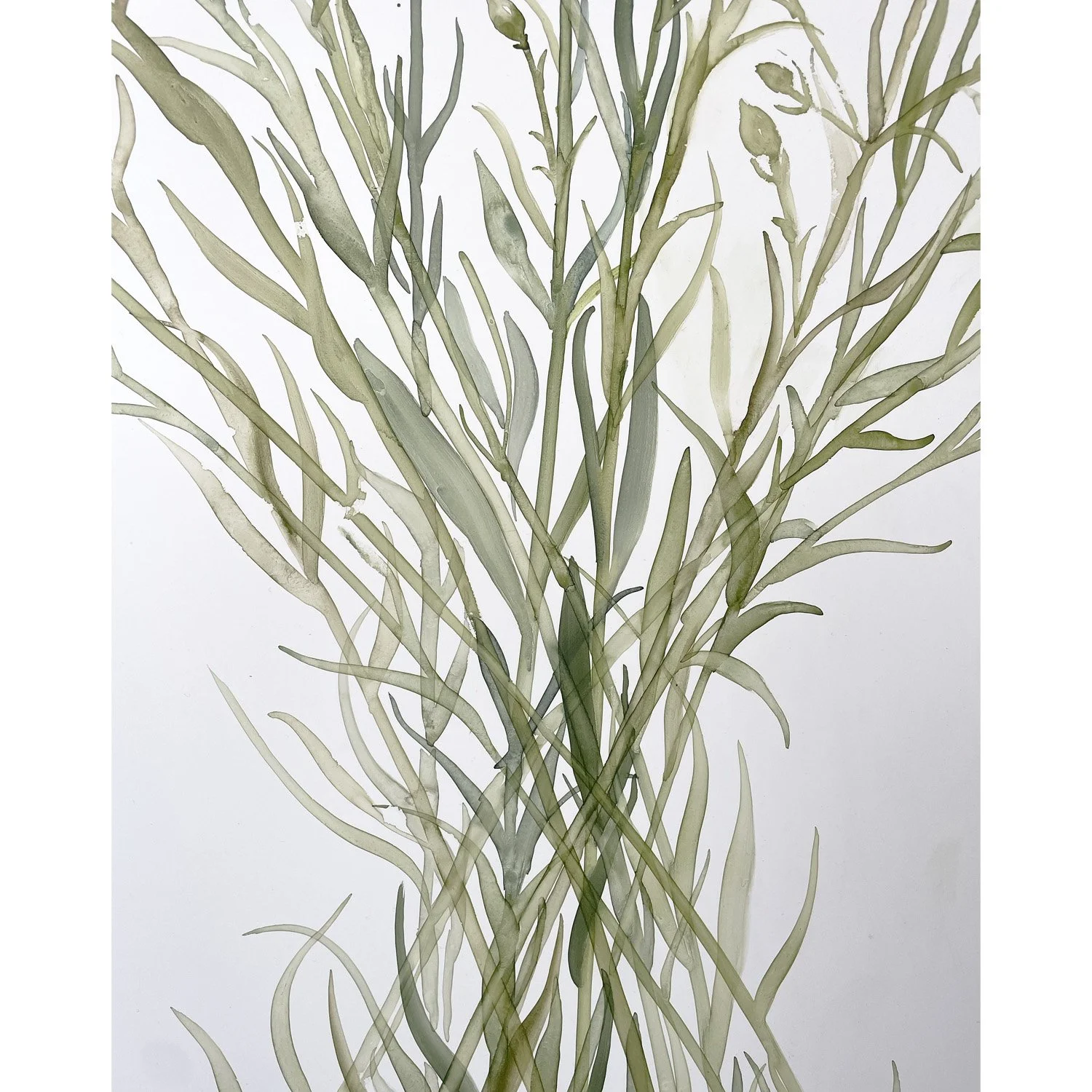 carnations detail 2.jpg