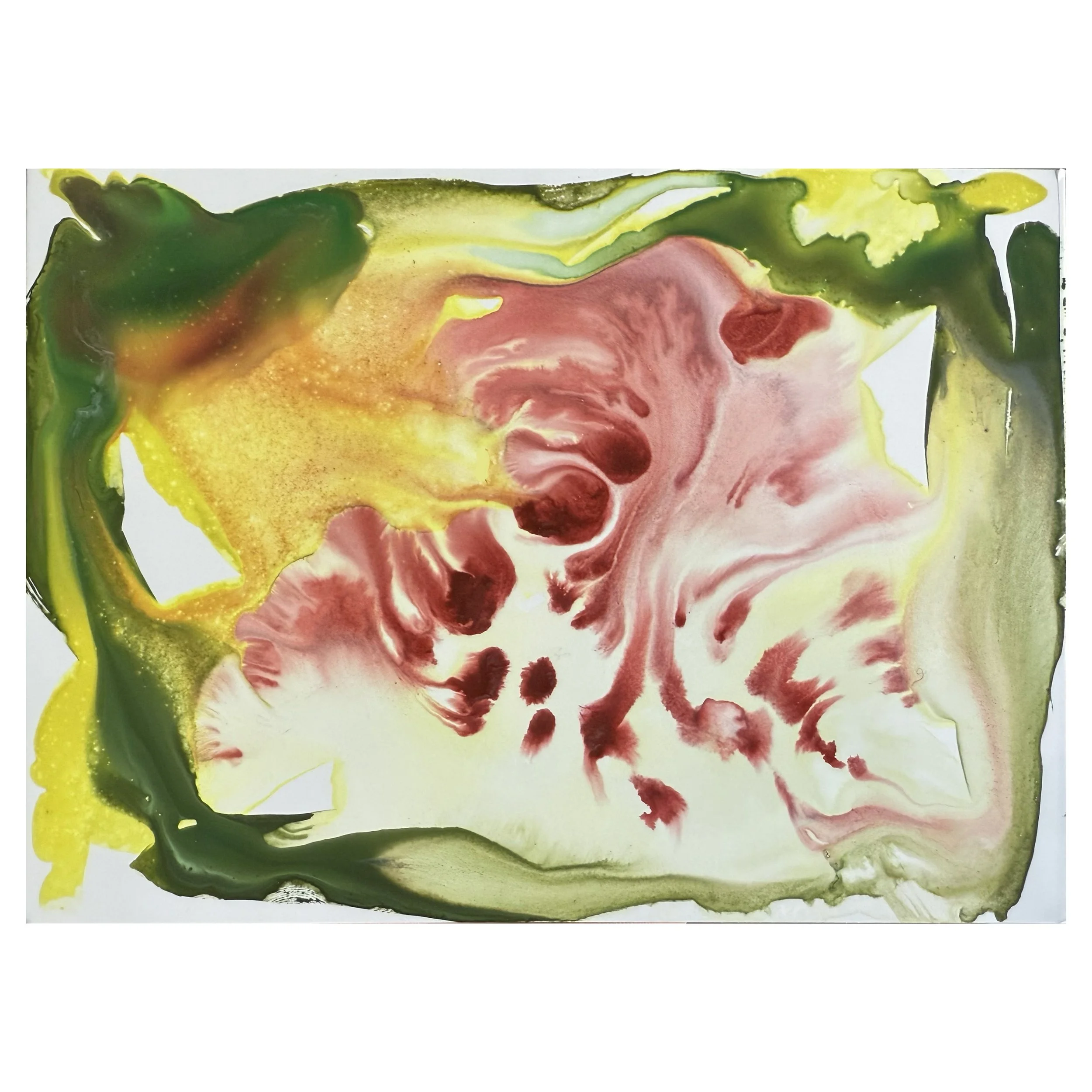 Abstracted Orchid