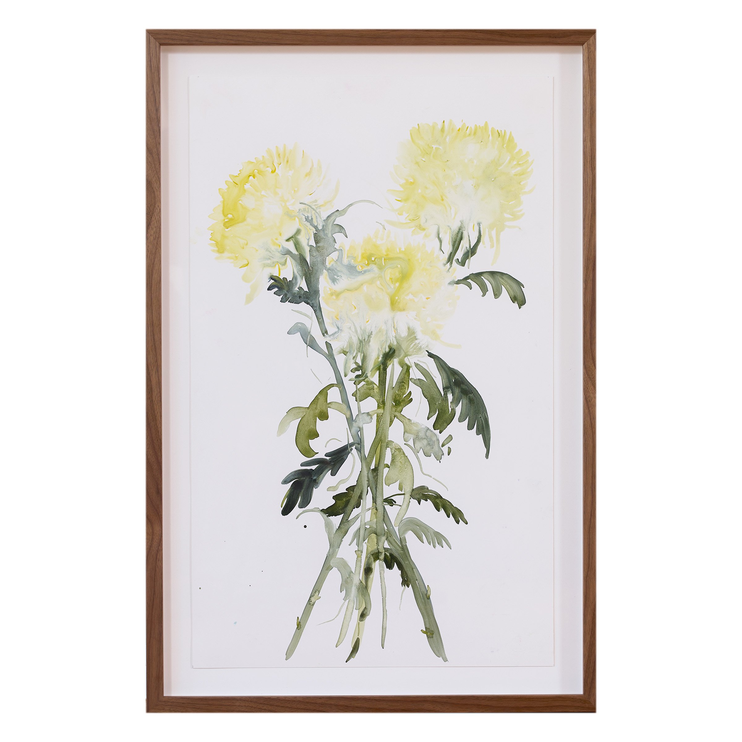 Chrysanthemum trio