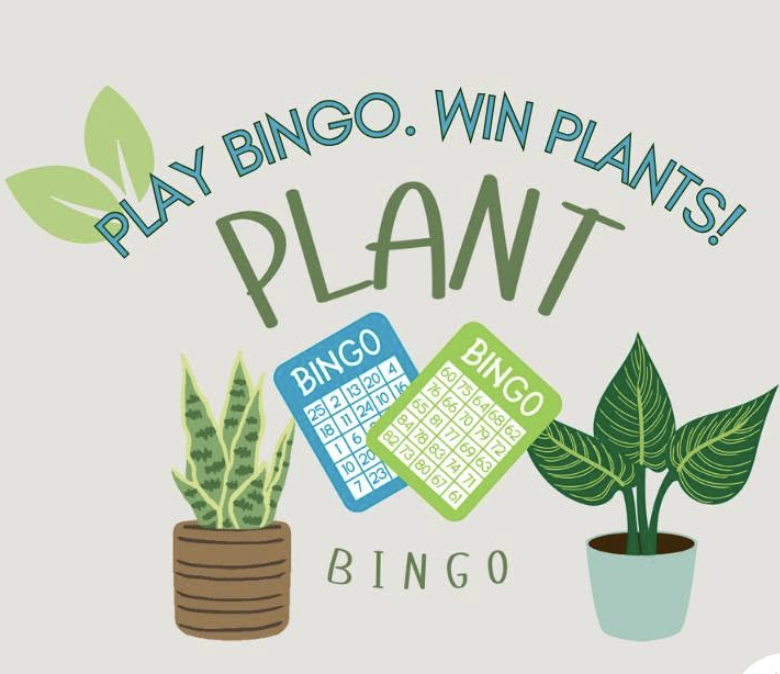 Plant Bingo with Orchid Dynasty