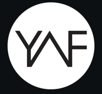AIA YAF Mentoring Event 