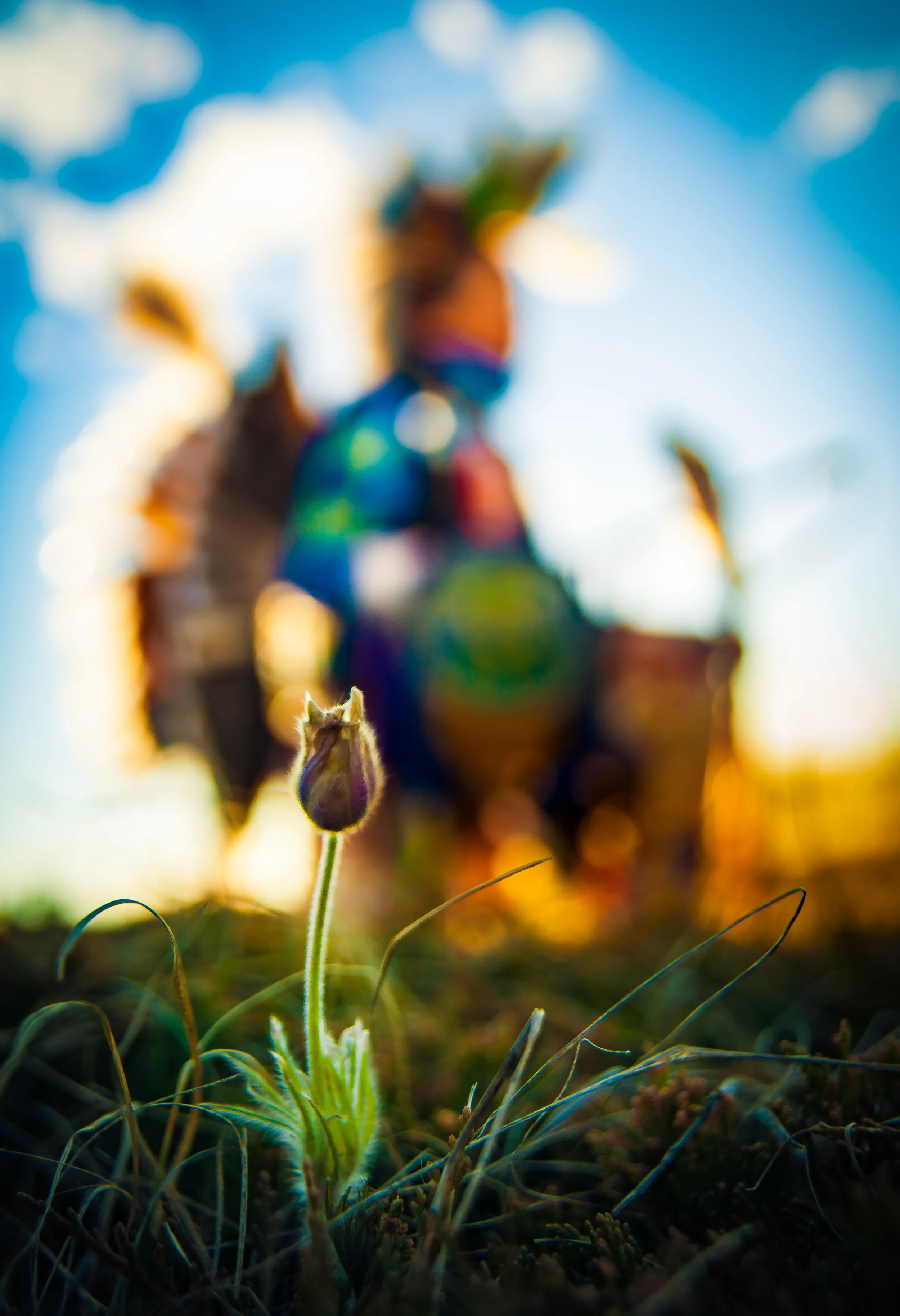 Flower Dancer.jpg