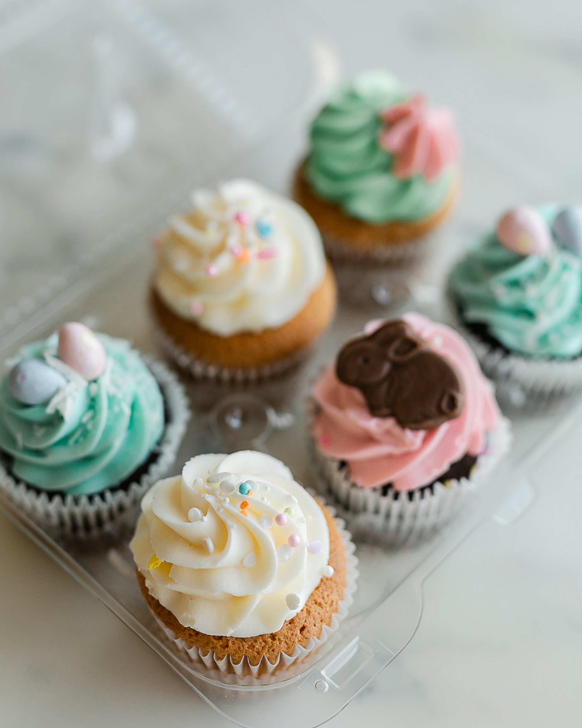 Assorted Cupcake 6-Pack