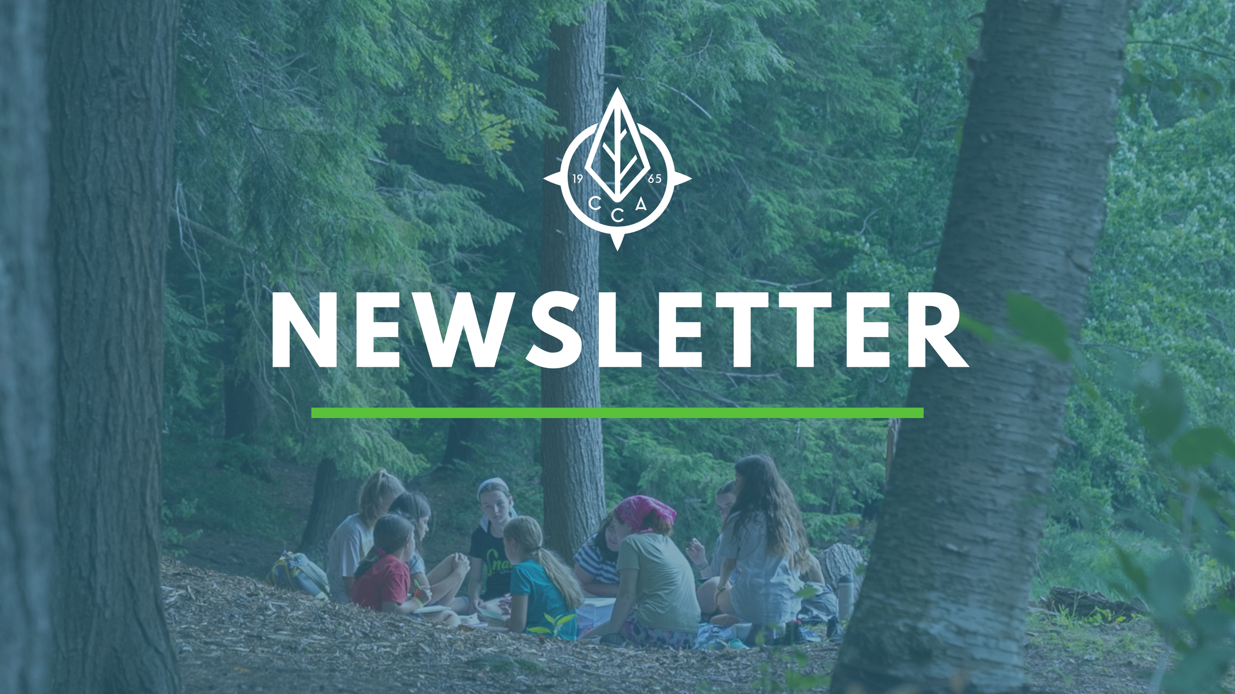 Newsletter January 206