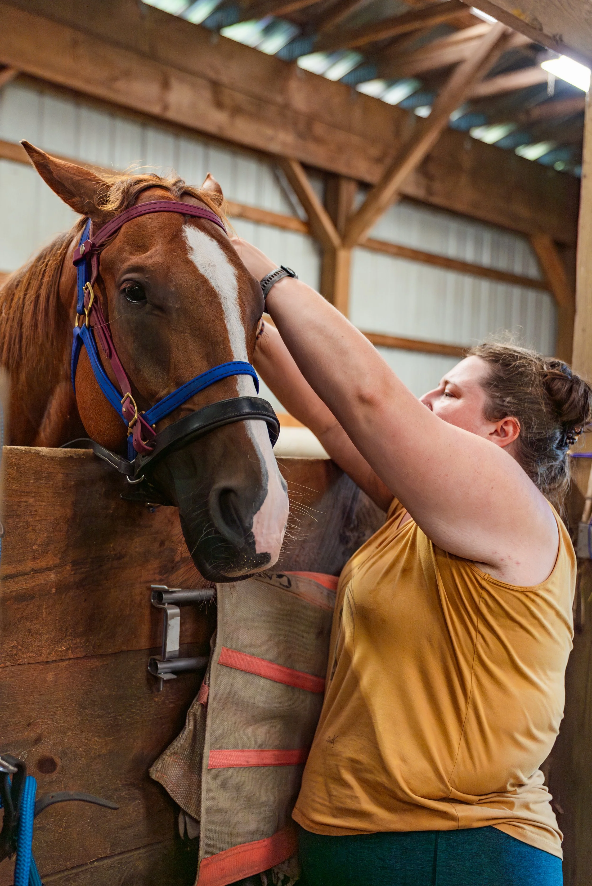 Lewie and Horse.jpg
