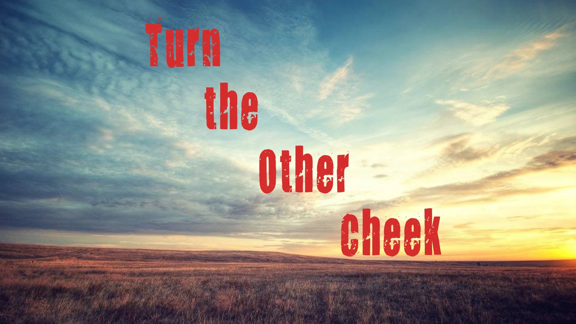 Turn the Other Cheek 