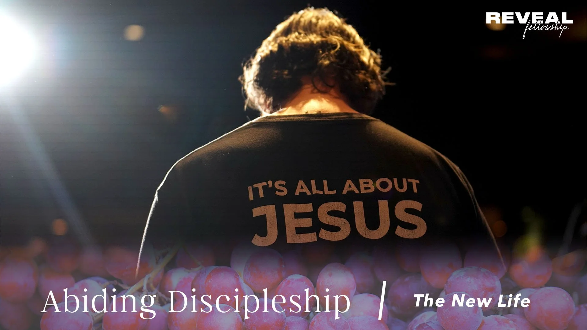 Abiding Discipleship: The New Life