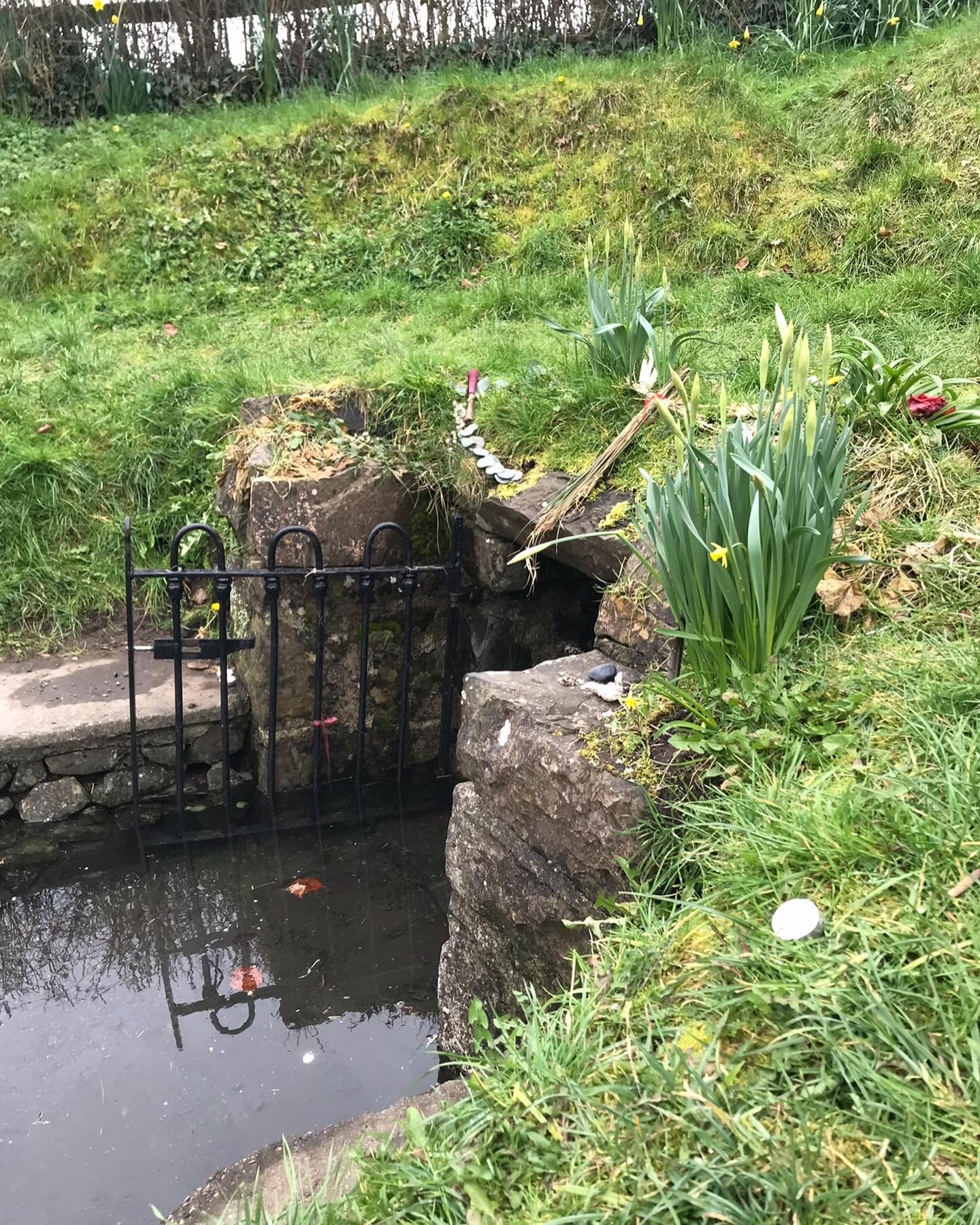 Sacred wells of Ireland ✨

1. Hill of Tara, Co. Meath
2. Brigid&rsquo;s Well, Co. Kildare 
3. Tobernalt Well, Co. Sligo 
4. Brigid&rsquo;s Well, Co. Westmeath 
5. Trinity Well, Co. Meath 
6. Loughcrew, Co. Meath 

The Holy Wells of Ireland have been 