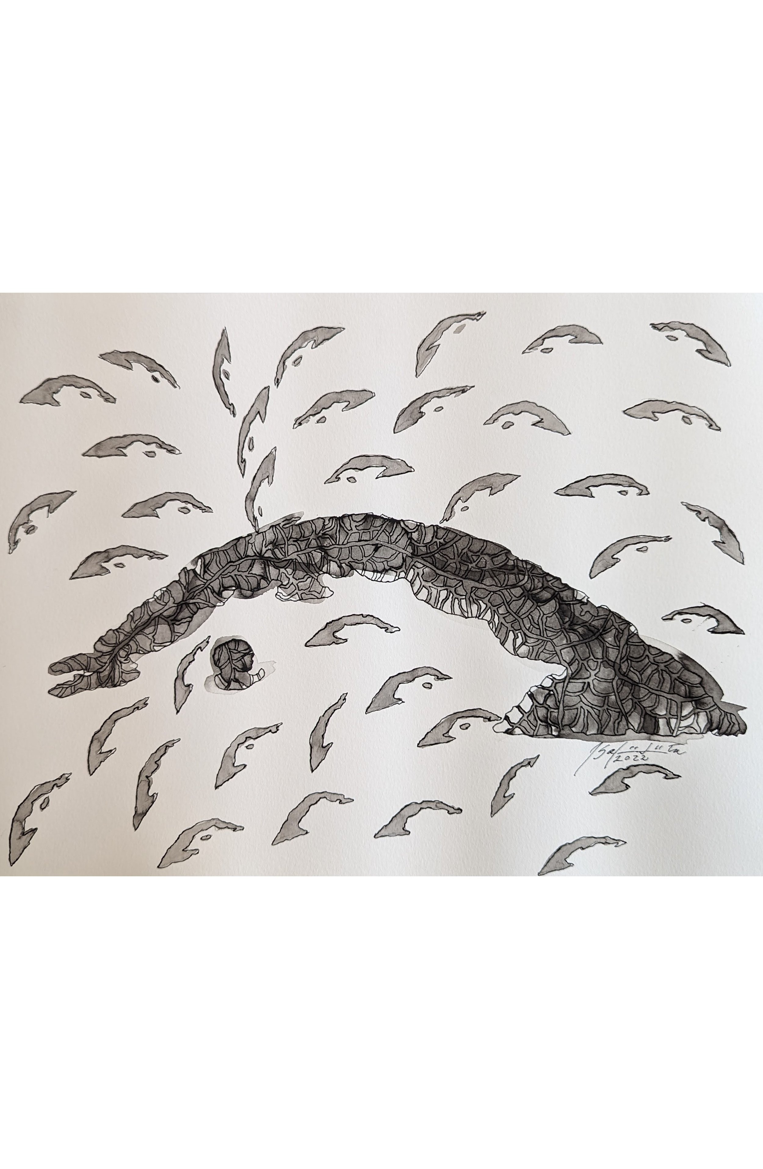 La Isla 5 - 15" by 11"