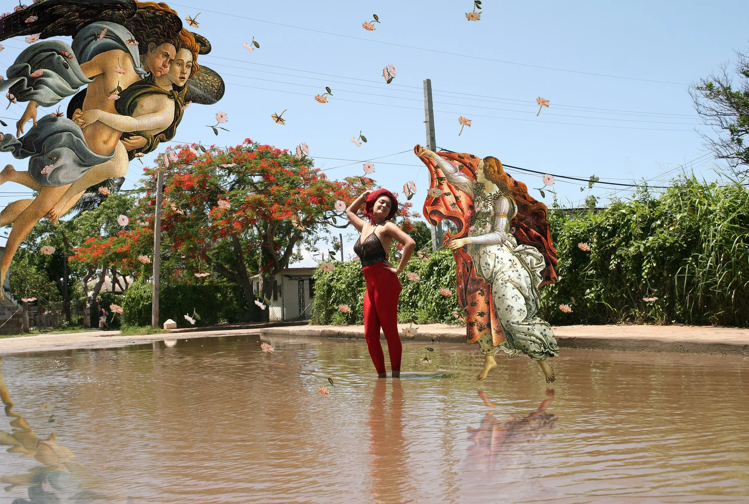 The Self Liberated Cuban, Nadia Porras