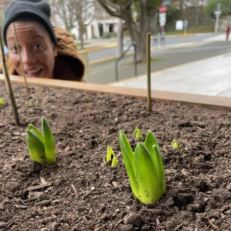 When you're having a rough day and are having trouble keeping it together, but your wife sends you a picture that reminds you of how naturally lit a person you are 😂😂

Apparently, I was just jazzed about springtime.