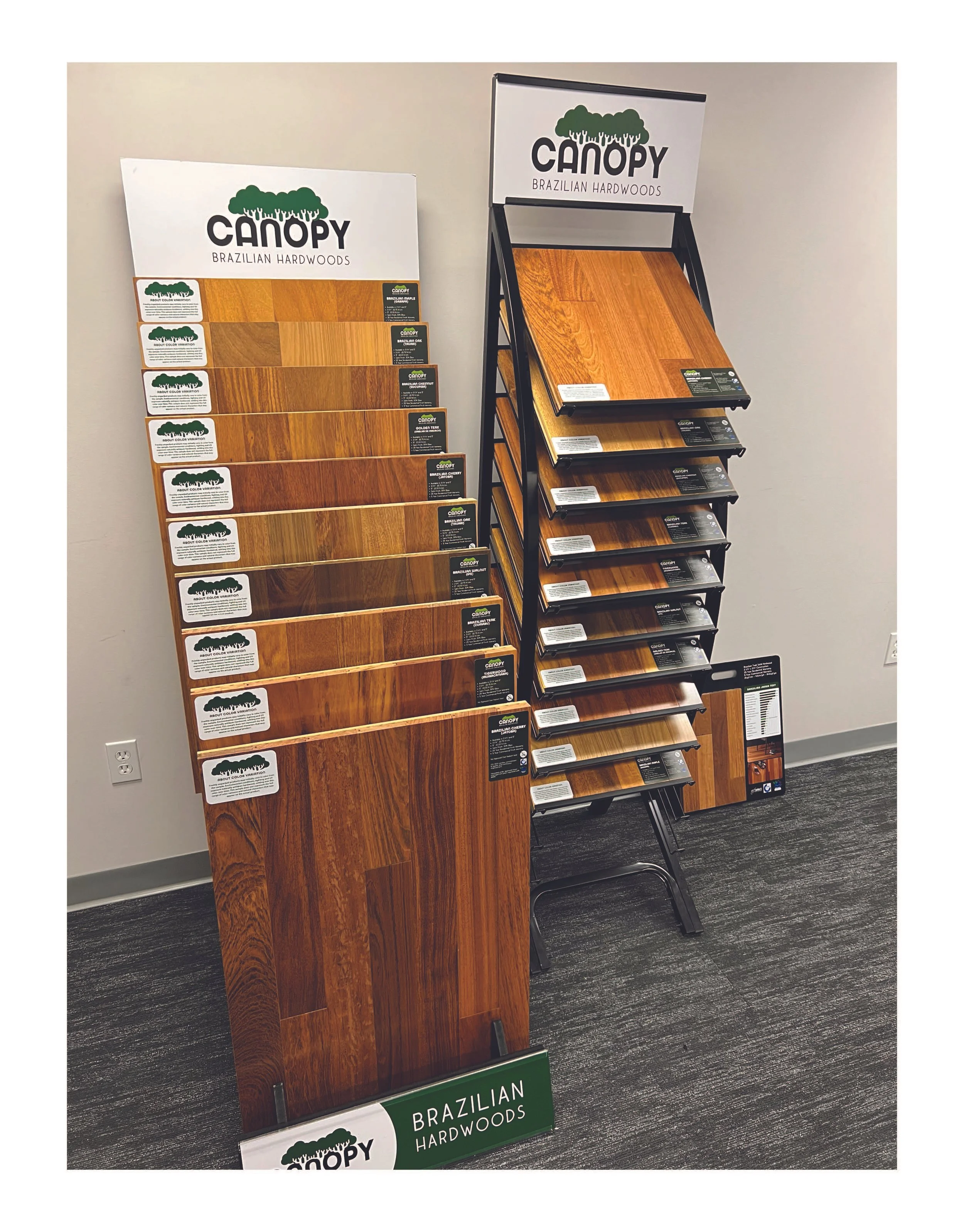 canopy display photo.jpg