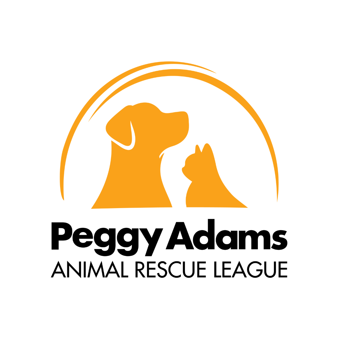 Logo for Little Smiles featuring a smiling woman with curly hair, two pigtails, and two children, along with a cartoon tiger wearing a red shirt and blue shorts. The text reads "Little Smiles Big Impact."