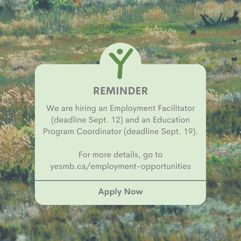 YES Job Opportunities