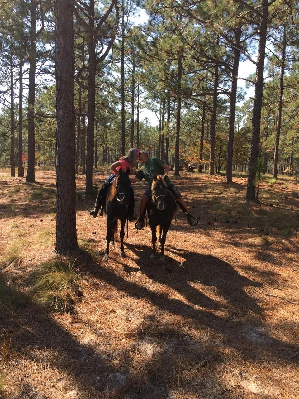 Gallery — Fourth Rock Stables